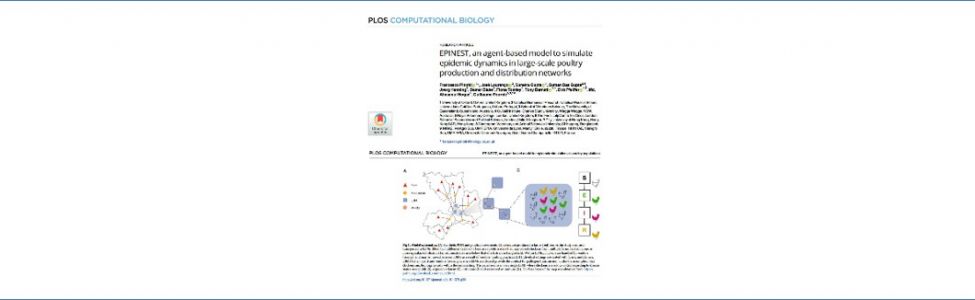 EPINEST-Article.jpg