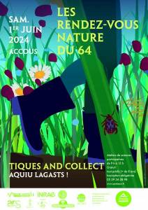 17-Tiques and Collect !